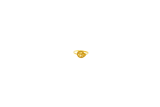 KR1